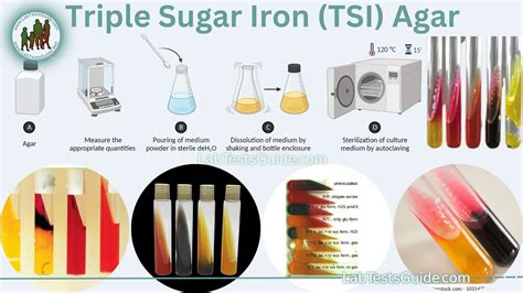 Triple Sugar Iron Agar Protocols.